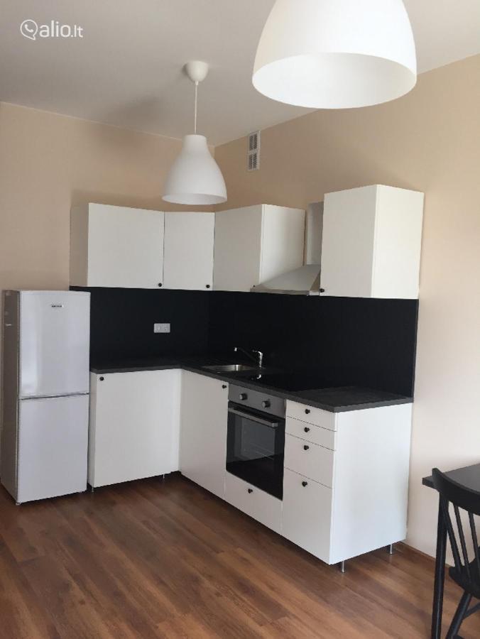 Close To Panorama Center Apartment Self Check-In Garage Free VNO Kültér fotó